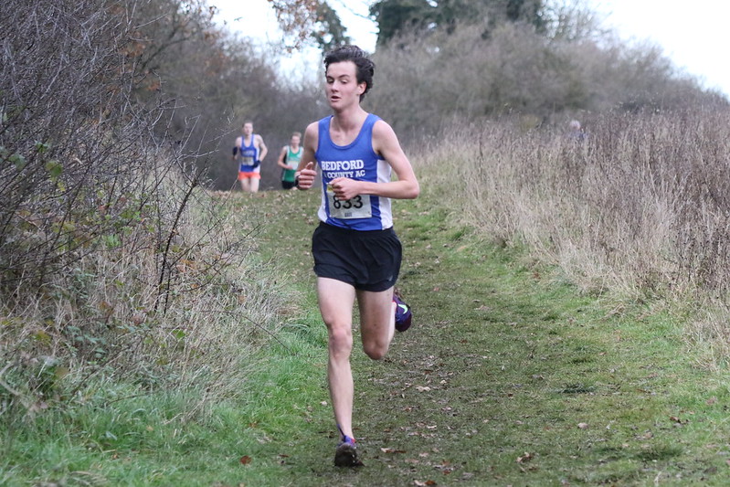 Harry Brodie